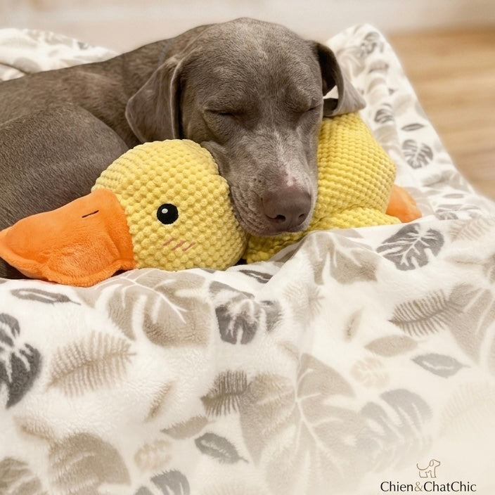 Doudou Canard Apaisant