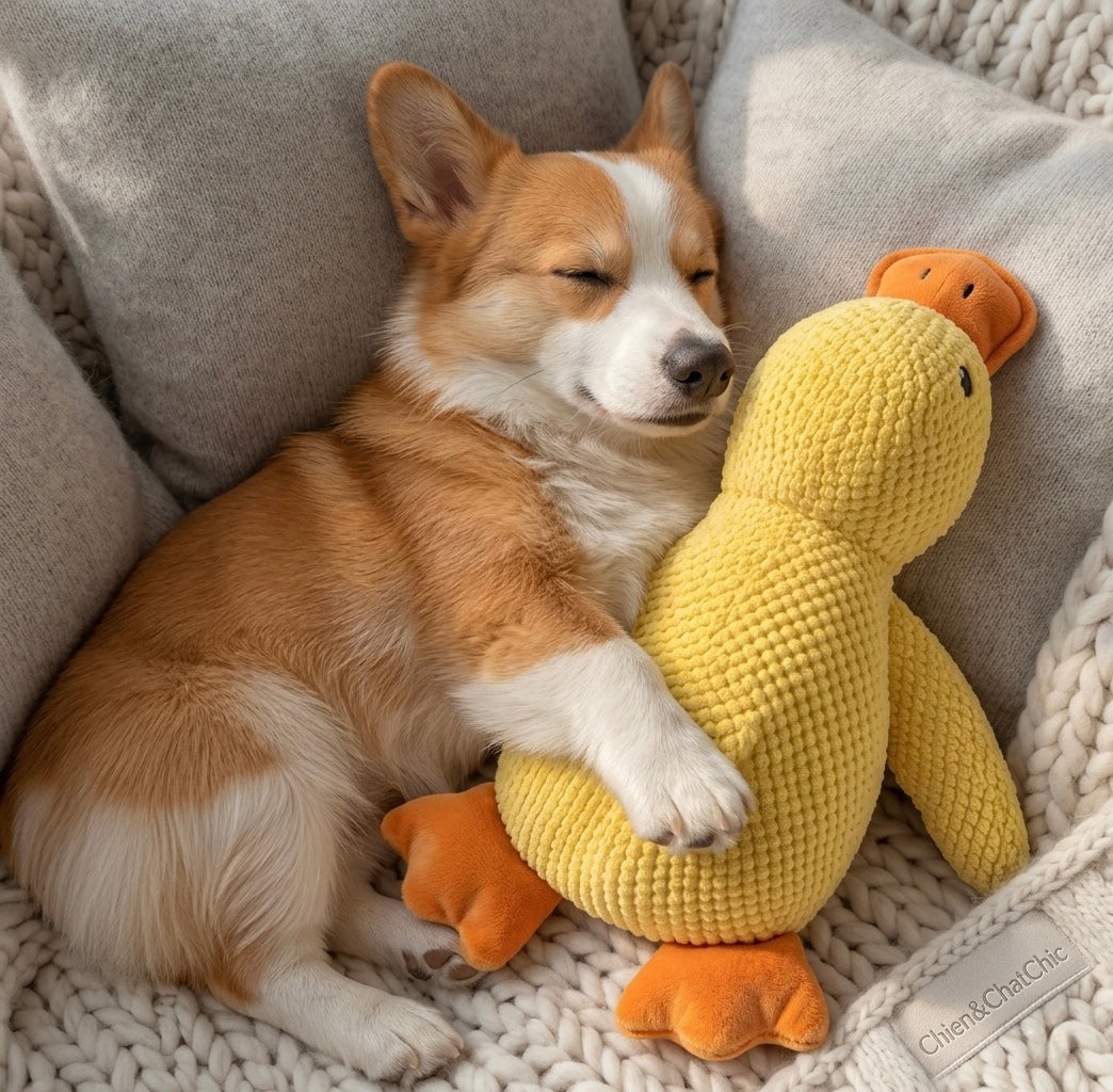 Doudou Canard Apaisant